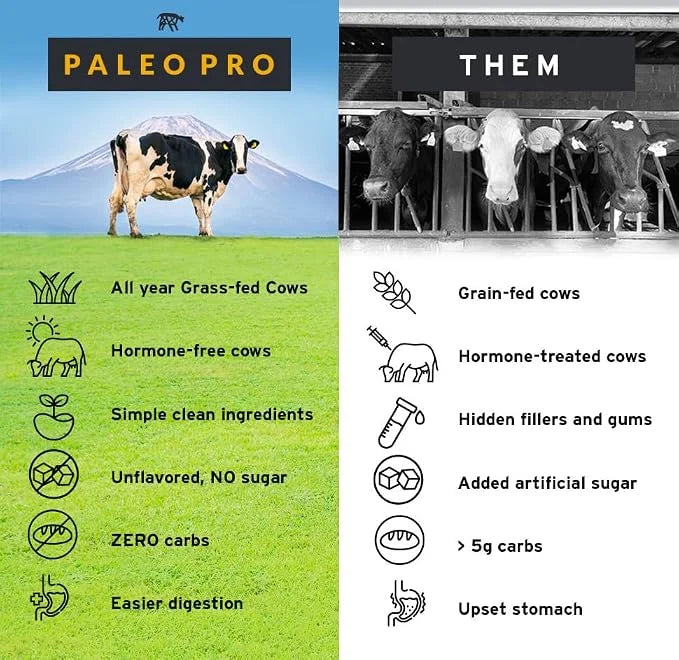 26G Grass Fed Beef Protein Powder Isolate, Dairy & Gluten Free (Plain)