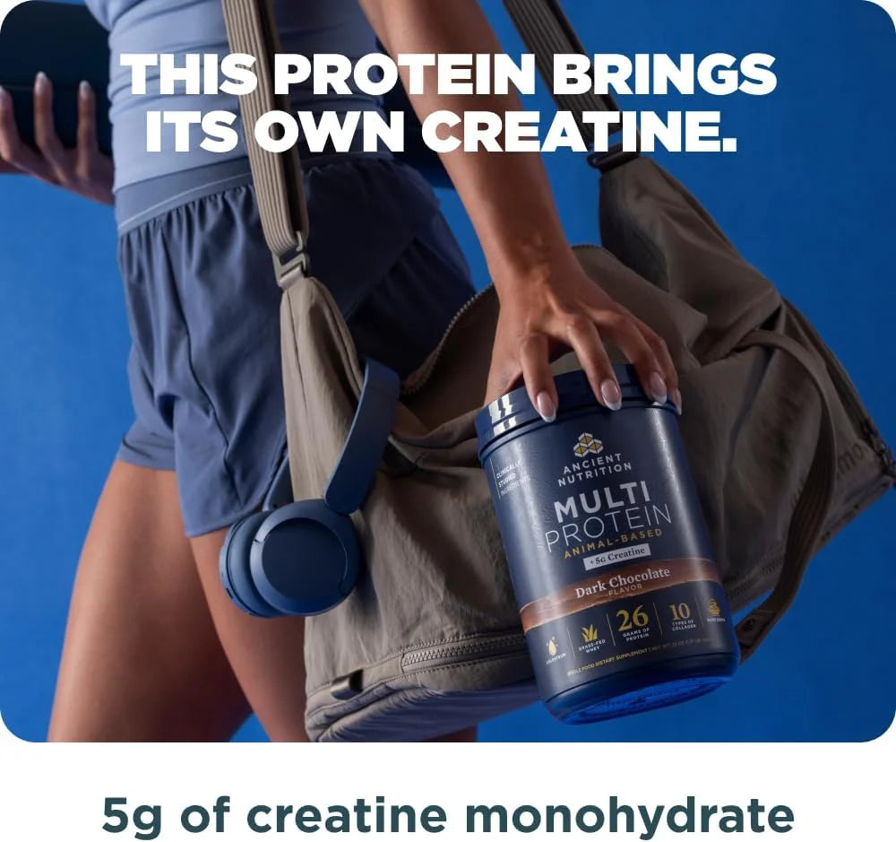 Ancient Nutrition Multi Protein + Creatine, Bone Broth, Whey, Dark Choc