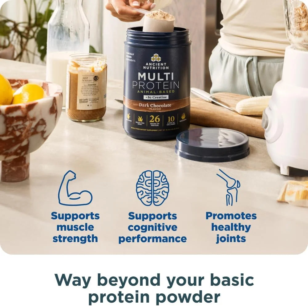 Ancient Nutrition Multi Protein + Creatine, Bone Broth, Whey, Dark Choc