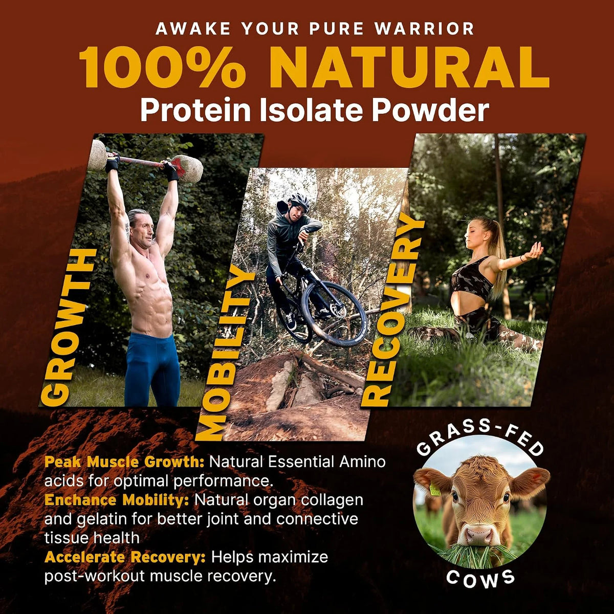 26G Grass Fed Beef Protein Powder Isolate, Dairy & Gluten Free (Plain)