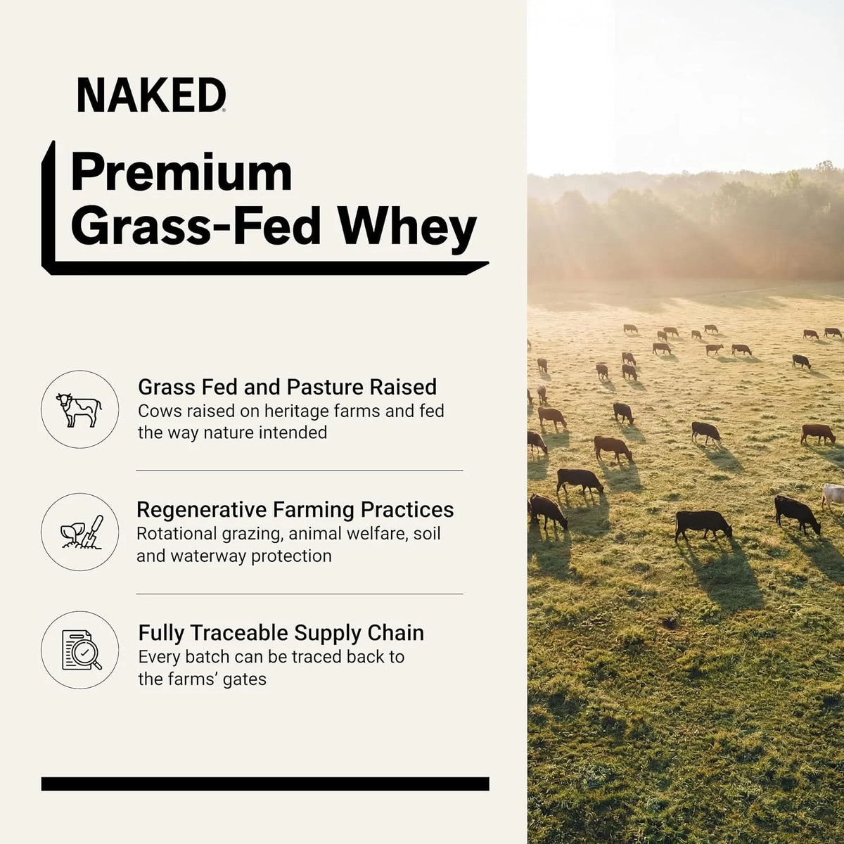 NAKED Whey Chocolate Protein Powder - Only 3 Ingredients - Grass Fed Whey Protein Powder, Organic Chocolate and Organic Coconut Sugar, NSF Certified, No GMO, No Soy, and Gluten Free - 24 Servings